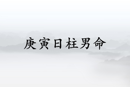 庚寅日柱男命运分析详解