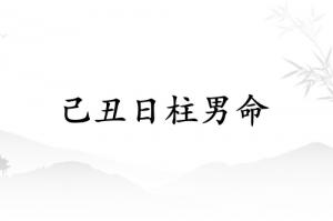 己丑日柱男命运详解