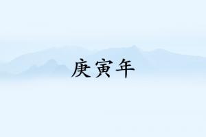 庚寅年是哪一年属什么生肖