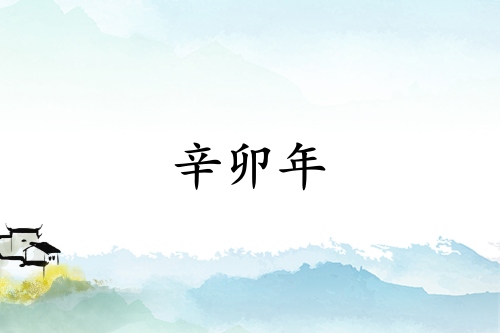 辛卯年是哪一年属什么生肖