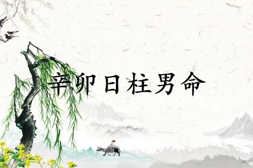 辛卯日柱男命运详解