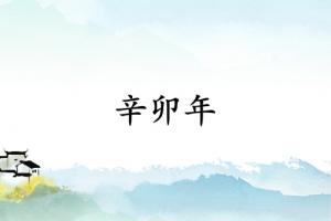 辛卯年是哪一年属什么生肖