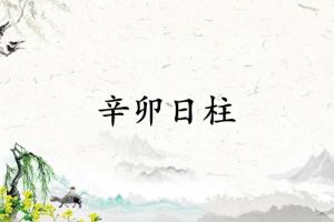 辛卯日柱三命通会精论解析