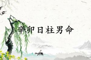 辛卯日柱男命运详解