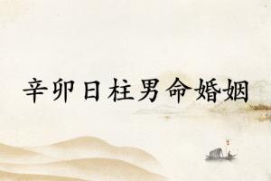 辛卯日柱男命婚姻详解