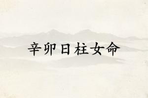 辛卯日柱女命运详解