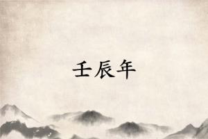 壬辰年是哪一年属什么生肖