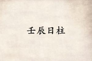 壬辰日柱三命通会精论详解