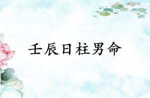 壬辰日柱男命运详解