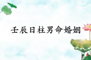 壬辰日柱男命婚姻详解