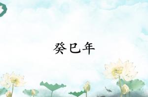 癸巳年是哪一年属什么生肖