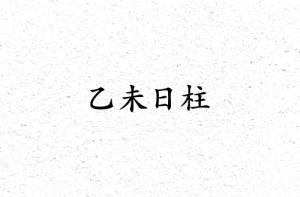 乙未日柱三命通会精论详解