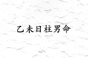 乙未日柱男命运详解