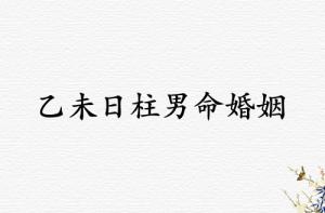 乙未日柱男命婚姻运势解析