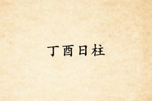 丁酉日柱三命通会精论