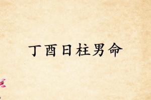丁酉日柱男命运详解