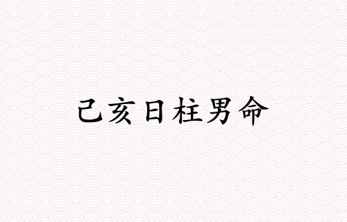 己亥日柱男命运详解