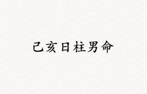 己亥日柱男命运详解