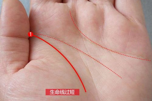 生命线只有一半能活多少岁