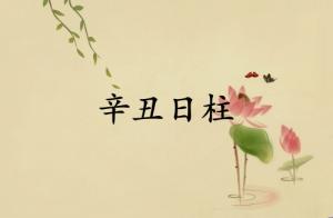 辛丑日柱三命通会精论详解