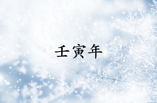 壬寅年是指哪一年属什么生肖