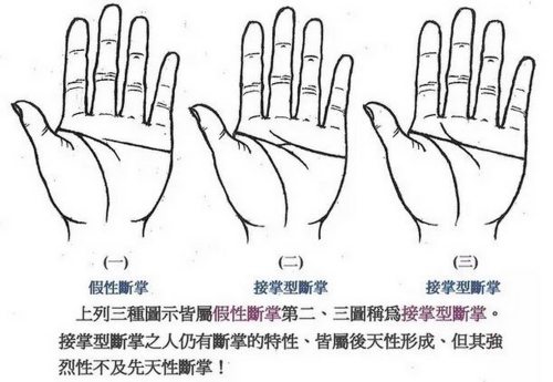 感情线与智慧线相连但又不是断掌