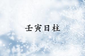 壬寅日柱三命通会精论解析