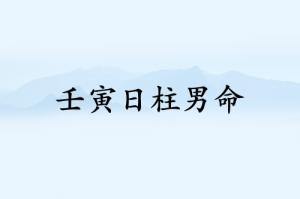 壬寅日柱男命运详解