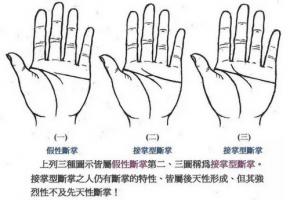 感情线与智慧线相连但又不是断掌