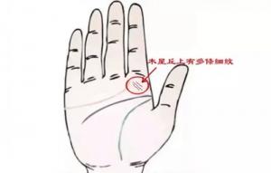 木星丘上的各种纹代表的意思