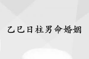 乙巳日柱男命婚姻怎么样