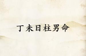 丁未日柱男命运详解