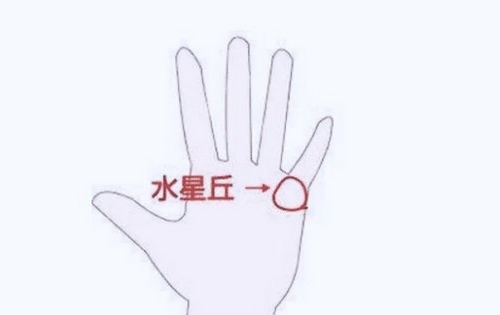 水星丘有横纹什么意思