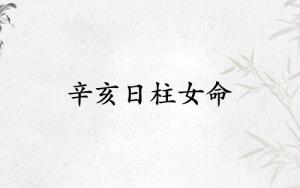 辛亥日柱女命一生详解