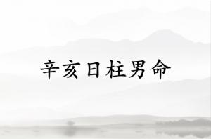 辛亥日柱男命运详解