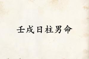 壬戌日柱男命运详解