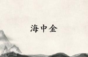 海中金见什么必成大器