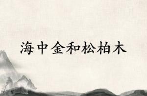 海中金和松柏木合伙做事业好吗