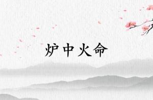 炉中火命佩戴木饰品好不好