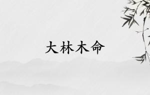 大林木命穿什么颜色衣服招财