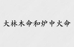 大林木命和炉中火命的结合好吗