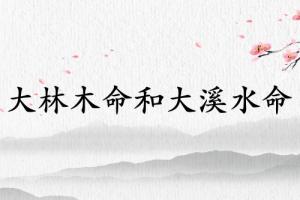 大林木命和大溪水命相合吗
