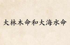 大林木命和大海水命婚姻配吗