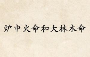炉中火命和大林木命的婚姻怎么样