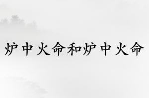 炉中火命和炉中火命的夫妻好吗