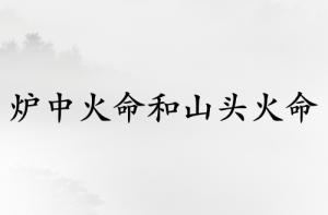 炉中火命和山头火命合适吗