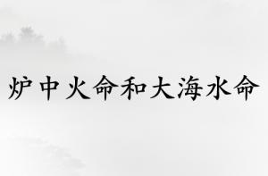 炉中火命和大海水命人结婚相克吗