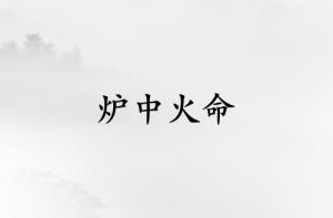 炉中火命和什么命最配