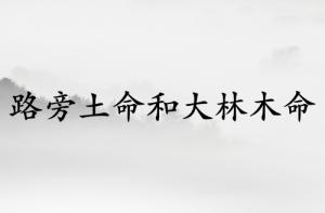 路旁土命和大林木命人结婚好吗