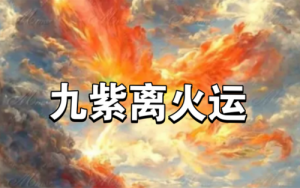 2025年是九紫离火年吗